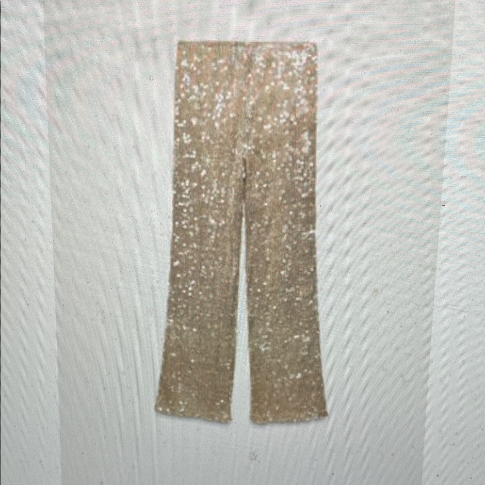 Zara metallic gold with Sequins wide leg stretchy Knit pants- nwt